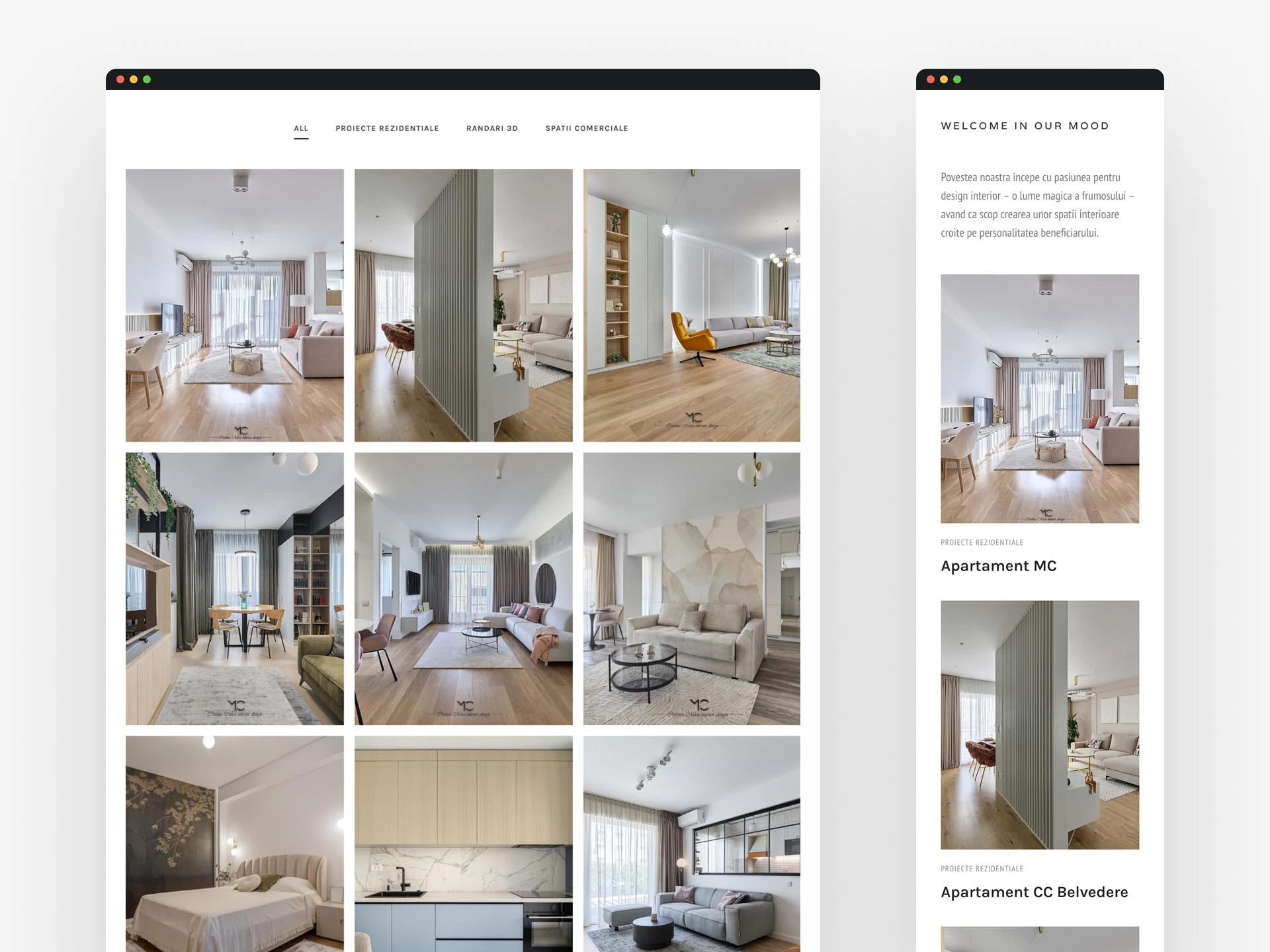 Cristina Micu Project